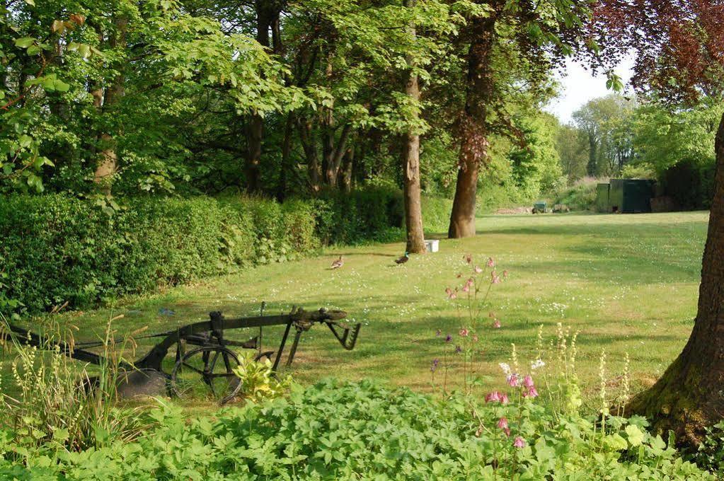 Bed and Breakfast Hazelwood House Bridgend  Zewnętrze zdjęcie